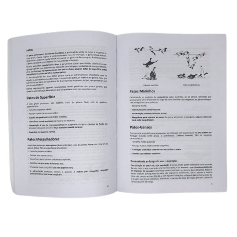 Imagem de Manual de Carta de Ca&ccedil;ador p/ Exame