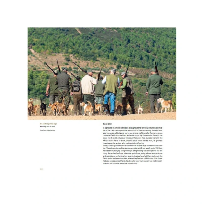 Imagem de Livro " a Ca&ccedil;a em Portugal"
