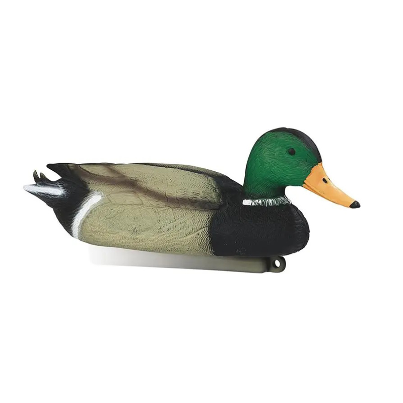 Imagem de Pato Real Macho