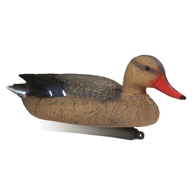 Imagem de Pato Real Femea
