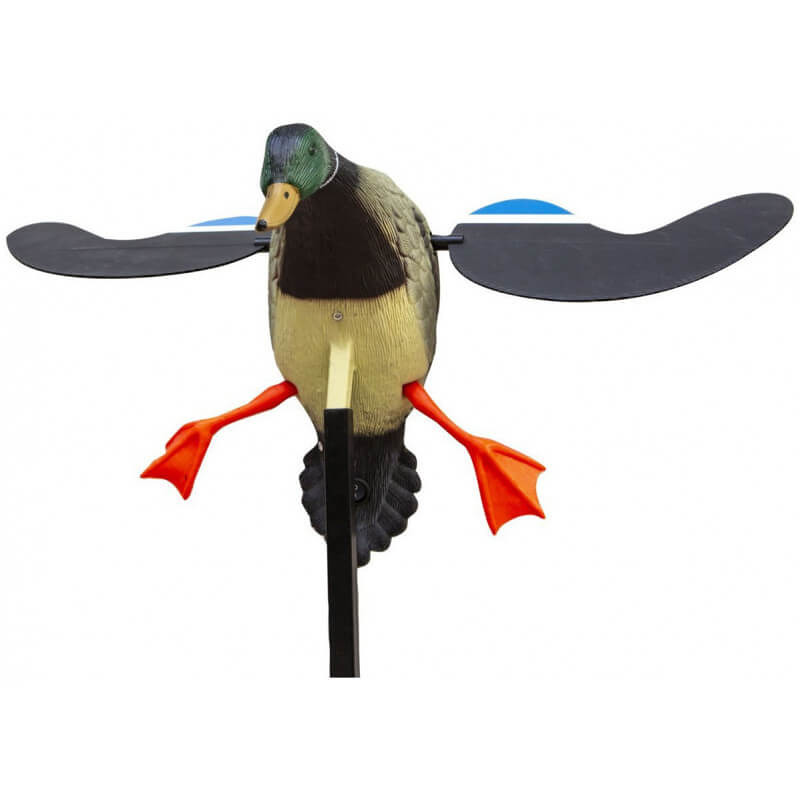 Imagem de Pato Asas ao Vento&nbsp;El&eacute;trico