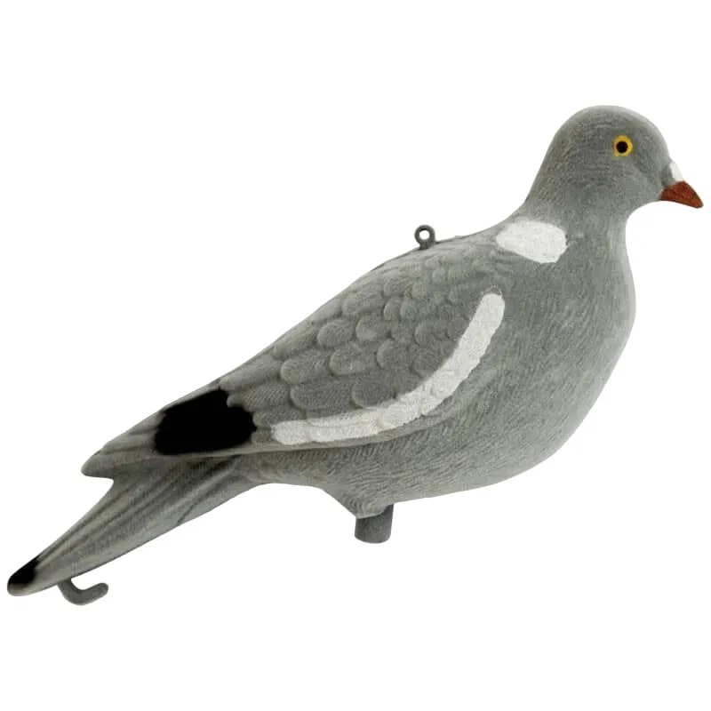 Imagem de Pombo Redondo Floqu&eacute;