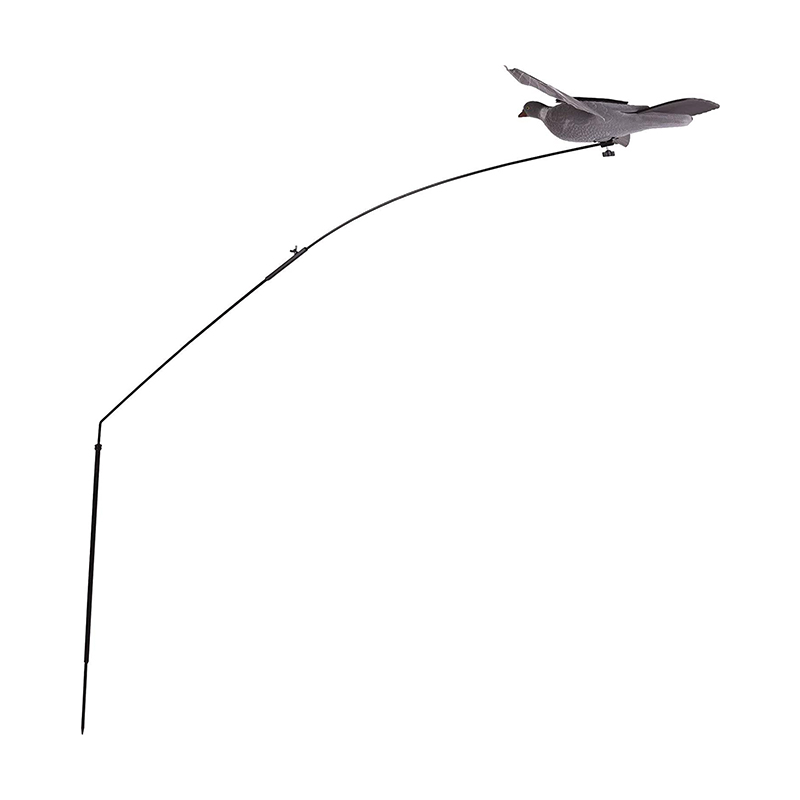 Imagem de Pombo asa vento
