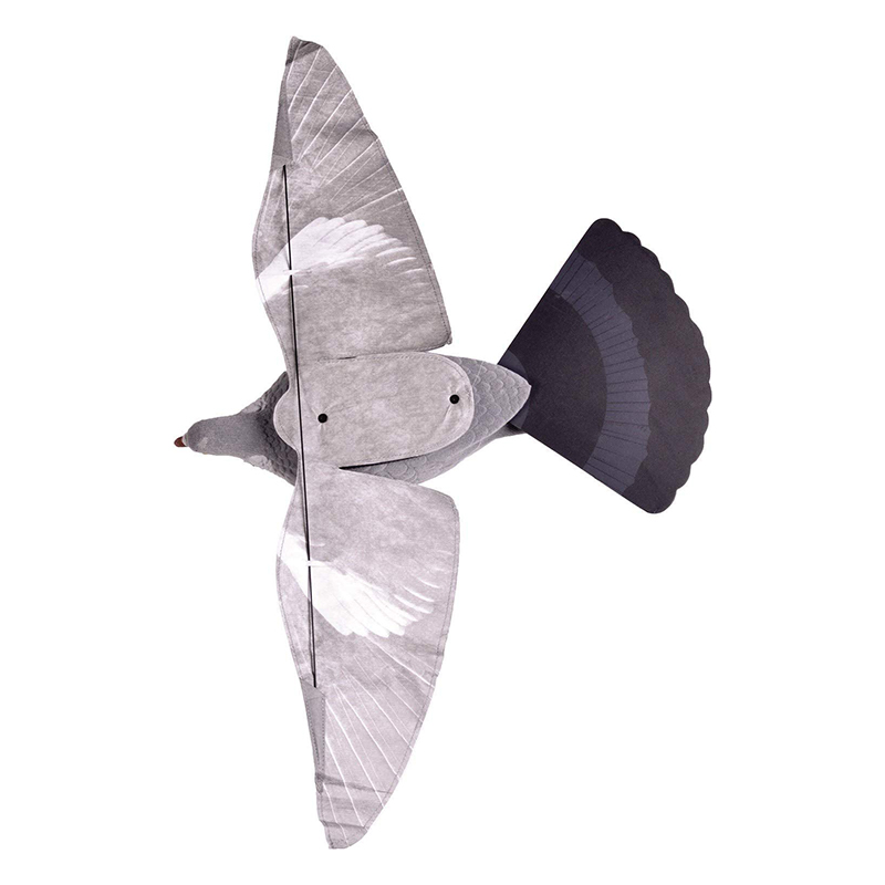 Imagem de Pombo asa vento