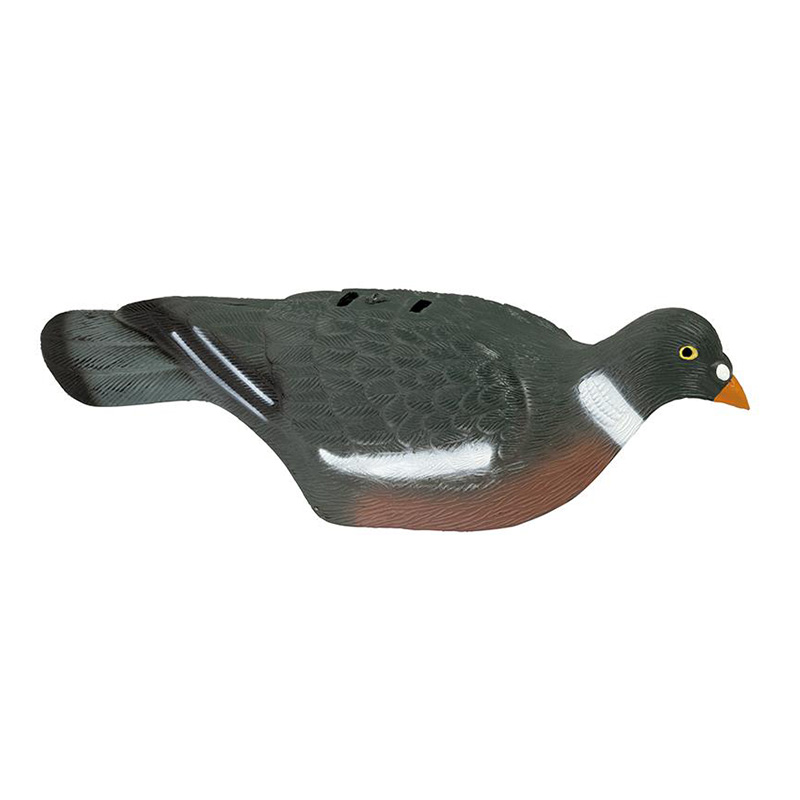 Imagem de Pombo Capa HD