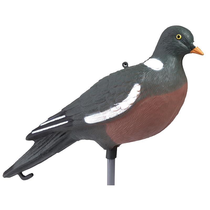 Imagem de Pombo no ch&atilde;o HD