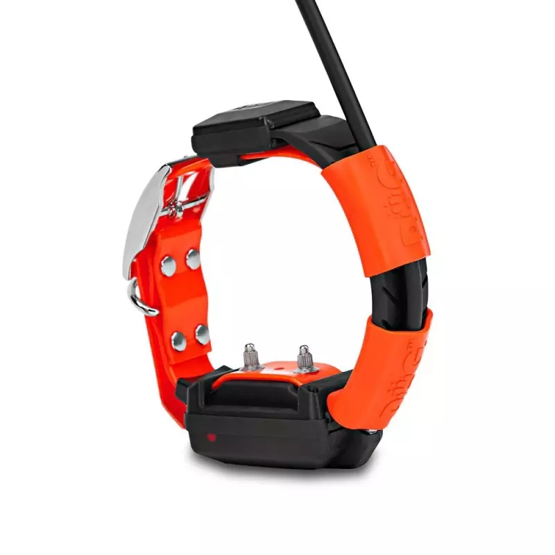 Imagem de Kit Dogtrace GPS X25-T
