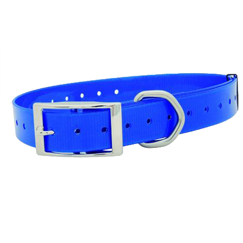 Imagem de Coleira de Poliuretano 50mm - Azul El&eacute;trico