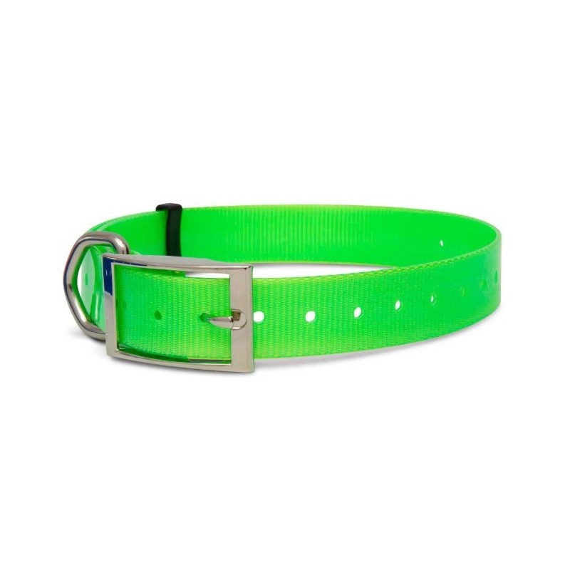 Imagem de Coleira de Poliuretano 50mm - Verde