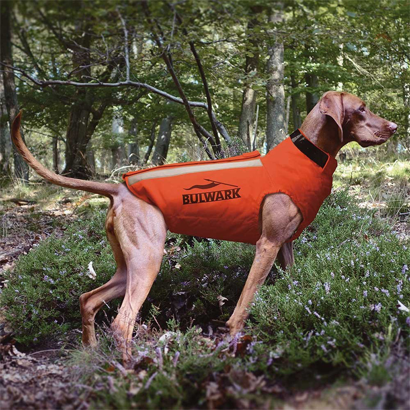 Imagem de Colete Prote&ccedil;&atilde;o Bulwarrk X4para C&atilde;o