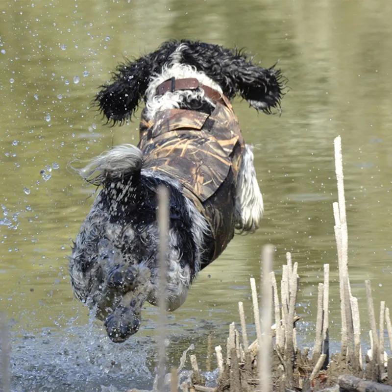 Imagem de Colete Flutua&ccedil;&atilde;o p/ C&atilde;o Neopro v2