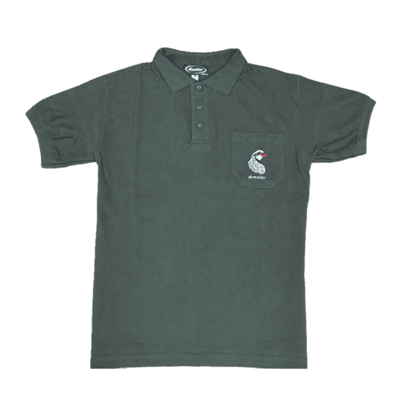 Imagem de Polo Verde - Amster