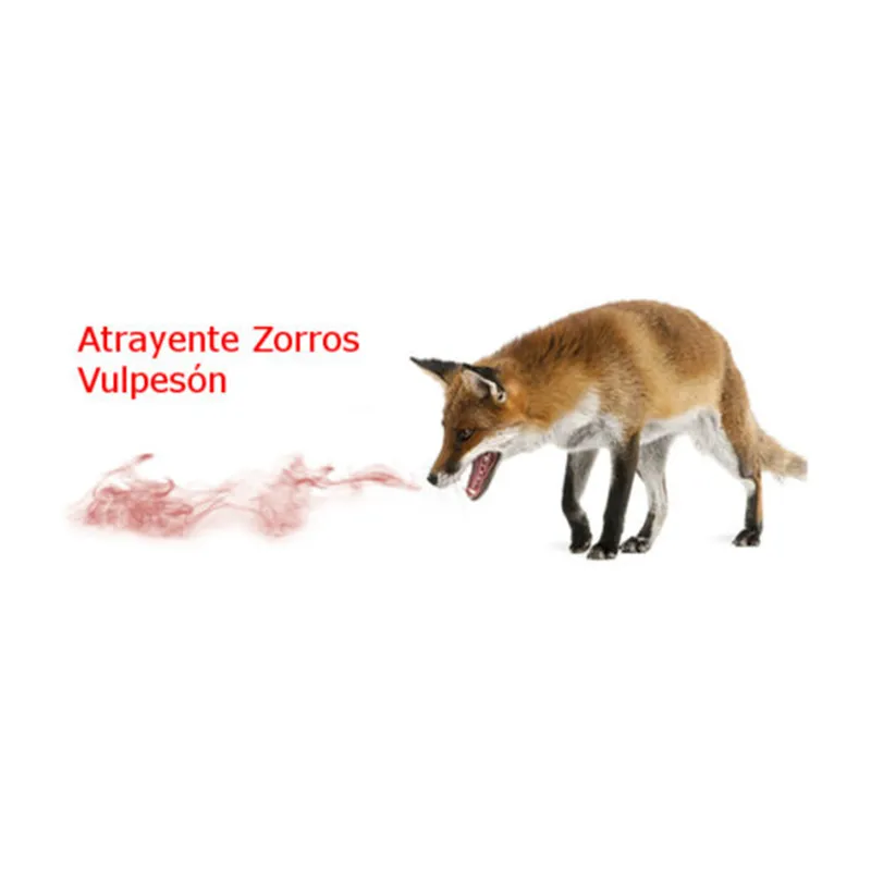 Imagem de Poderoso atrativo para raposas