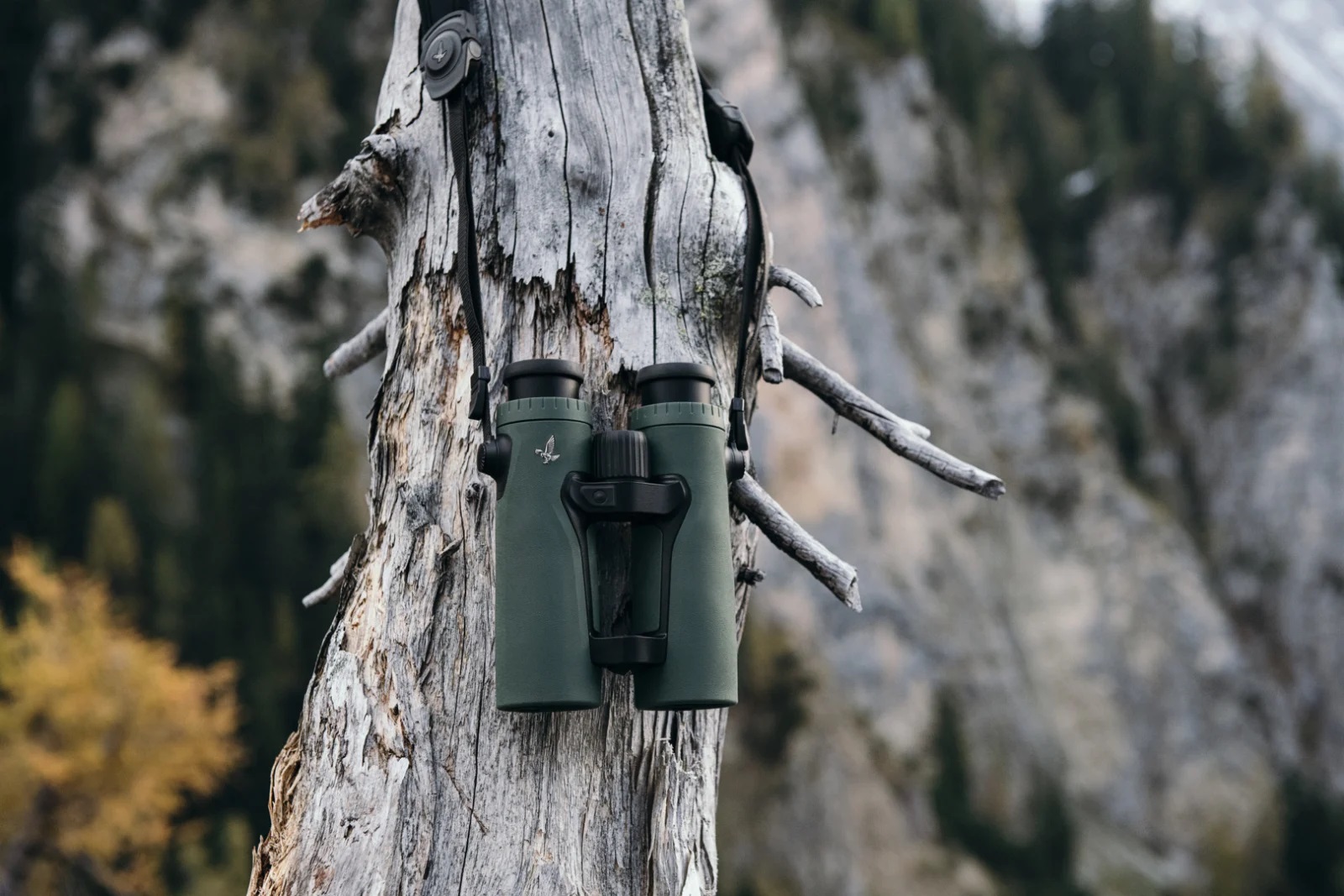 Imagem de Bin&oacute;culos Swarovki EL Range Tracking 10x42 W B