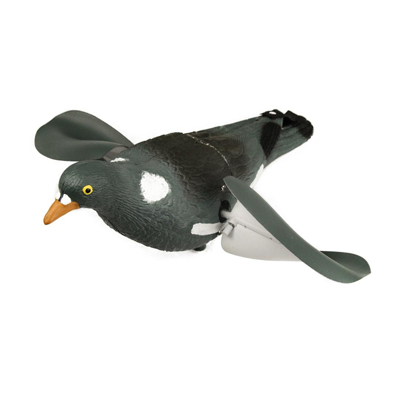 Imagem de Pombo Asas Girat&oacute;rias