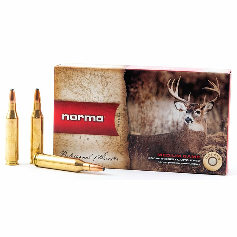 Imagem de Norma .243Win Oryx 100gr