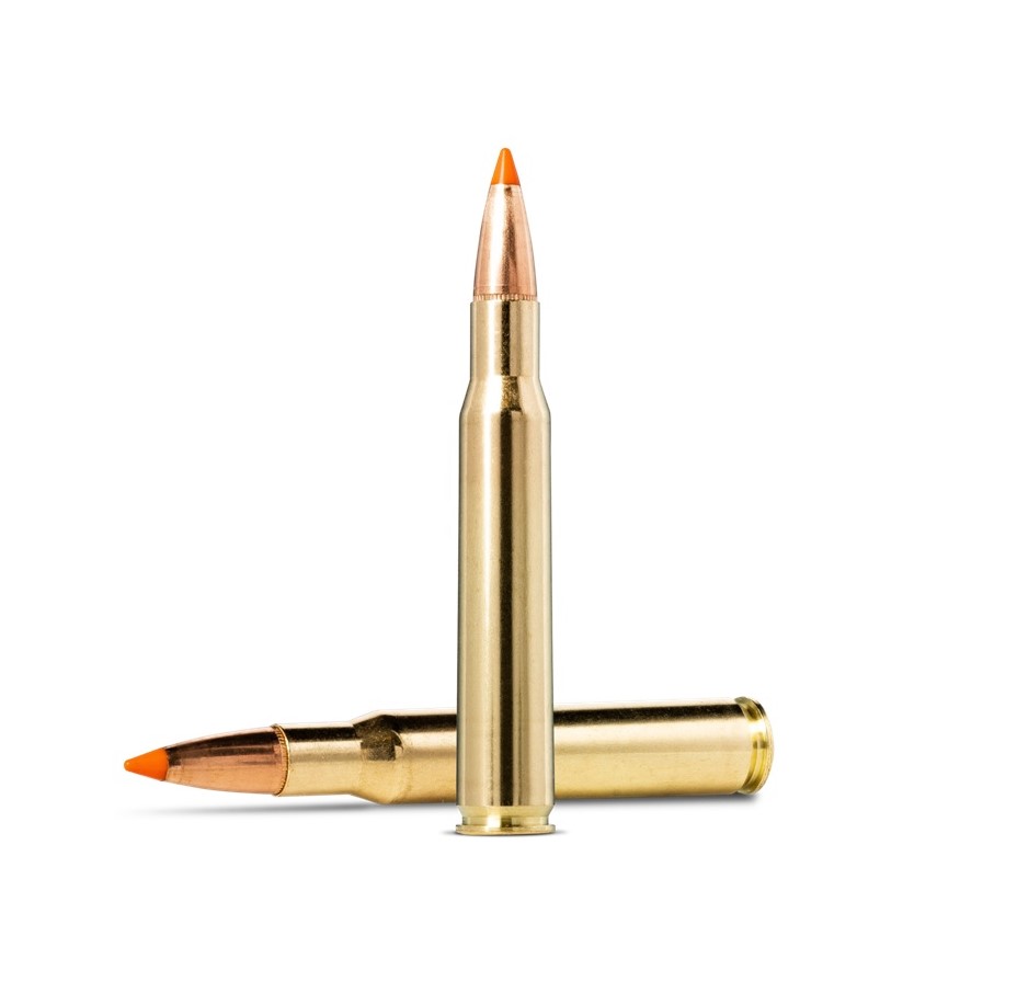 Imagem de Mun. Norma 30.06SPRG 170gr TipStrike