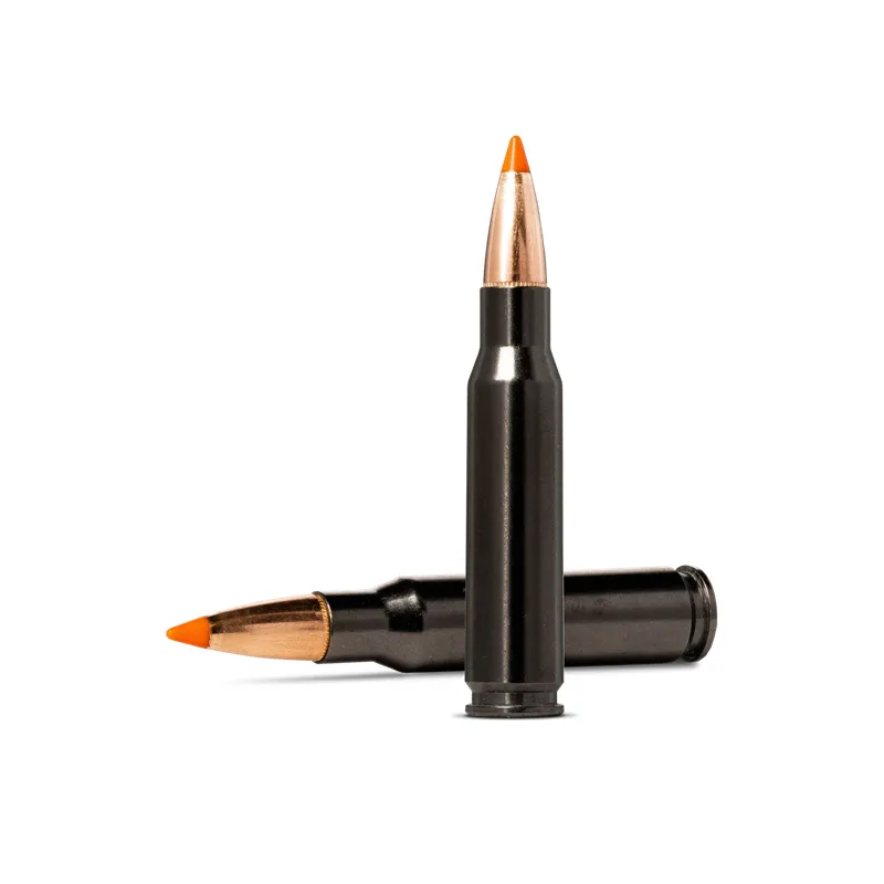 Imagem de Mun. Norma 308Win. 170gr TipStrike Silencer