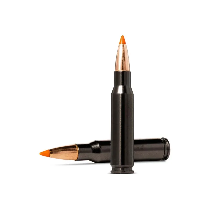 Imagem de Mun. Norma 308Win. 170gr TipStrike Silencer