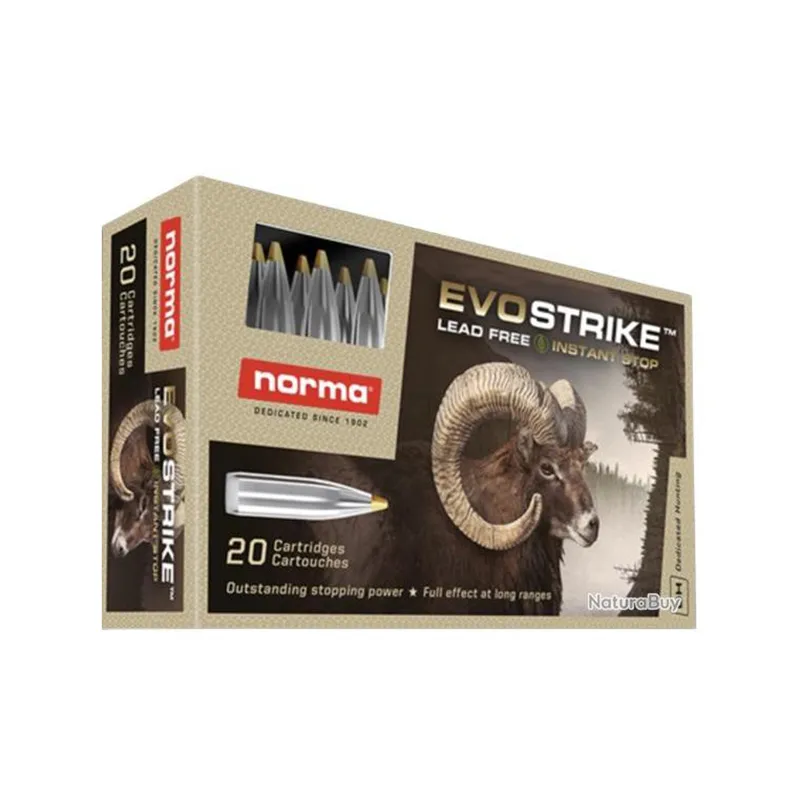 Imagem de Mun. Norma Evostrike 184grs 9,3x62