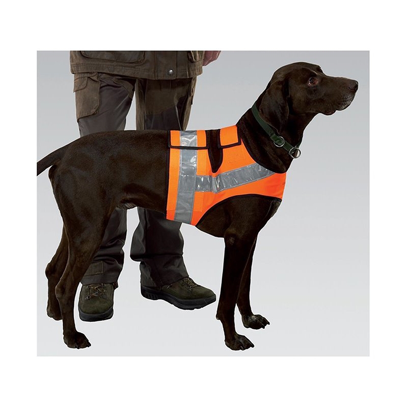 Imagem de Colete Laranja para c&atilde;o