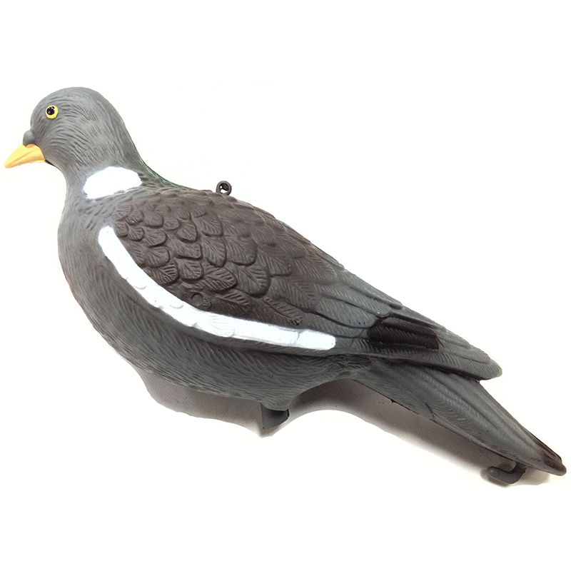 Imagem de Pombo no ch&atilde;o