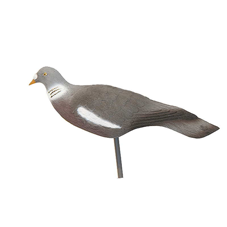 Imagem de Pombo capa