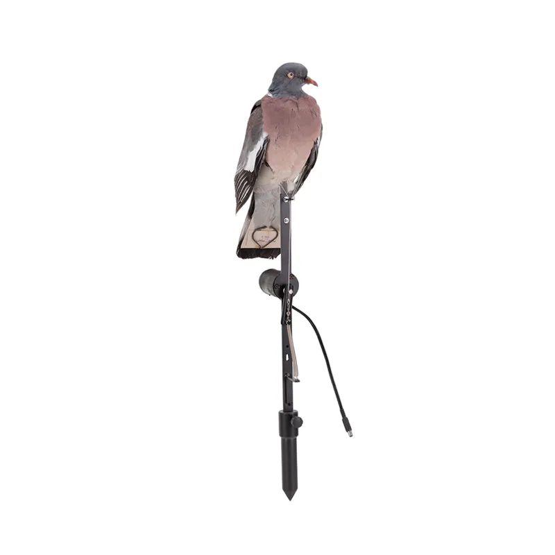 Imagem de Pombo Nega&ccedil;a Embalsamado Eletr&oacute;nico