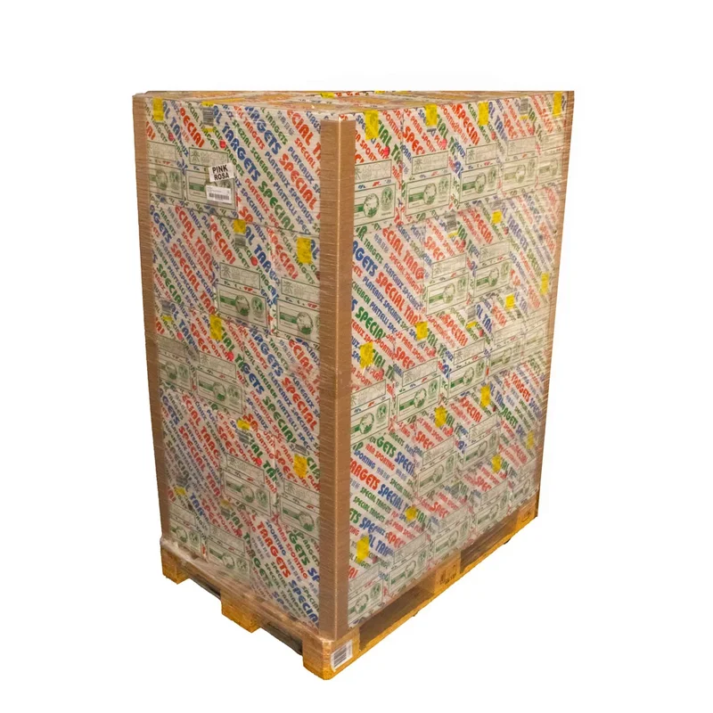 Imagem de Cx 200 Pratos EuroTarget Battue Orange