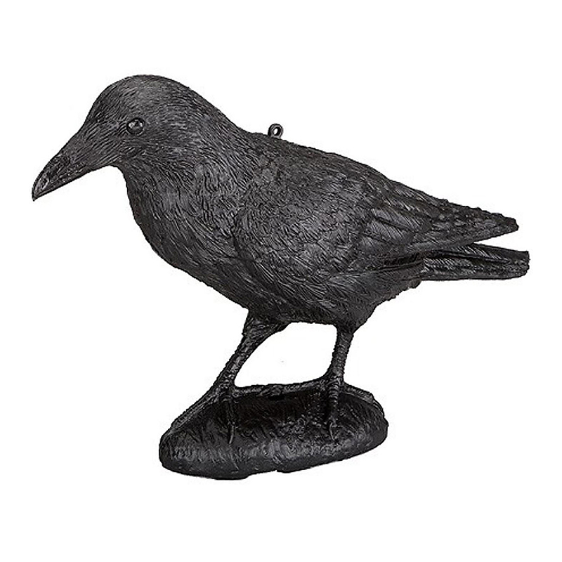 Imagem de Nega&ccedil;a Crow-Corvo