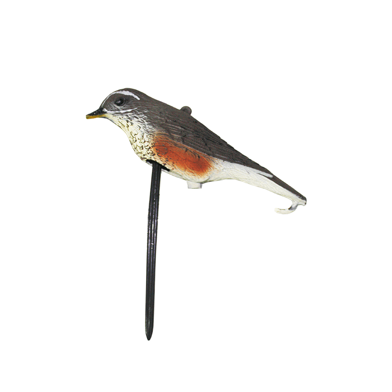 Imagem de Nega&ccedil;a Tordo Ruivo