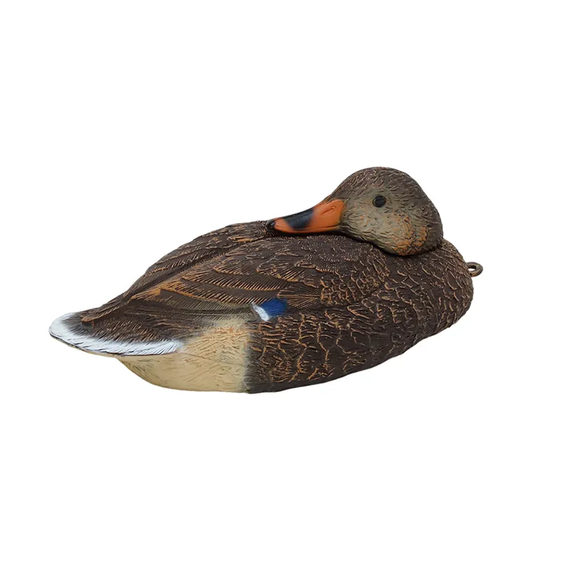 Imagem de Nega&ccedil;a Pato Real Femea Dormir