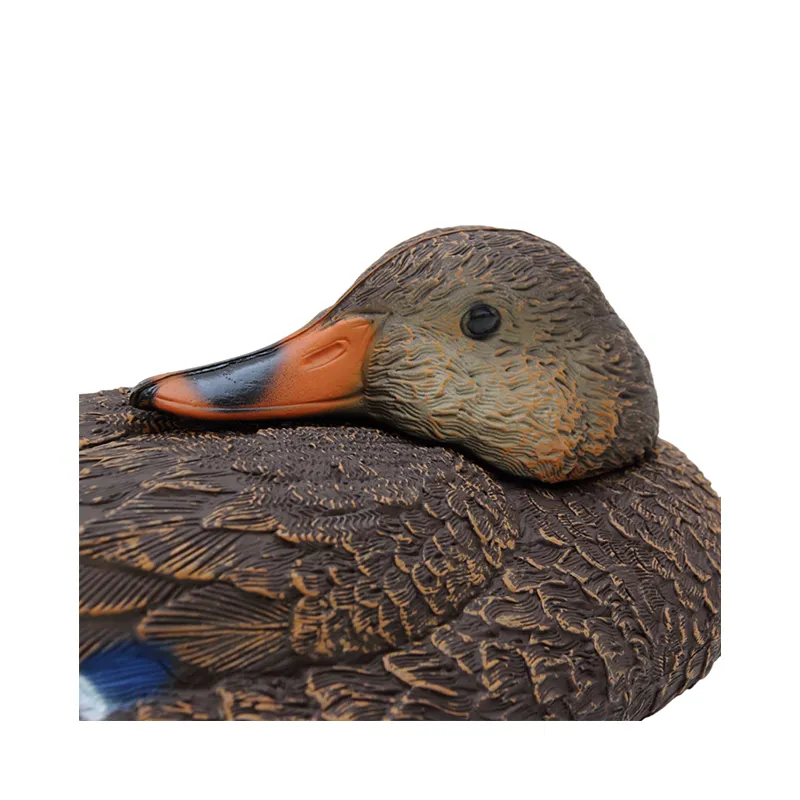 Imagem de Nega&ccedil;a Pato Real Femea Dormir