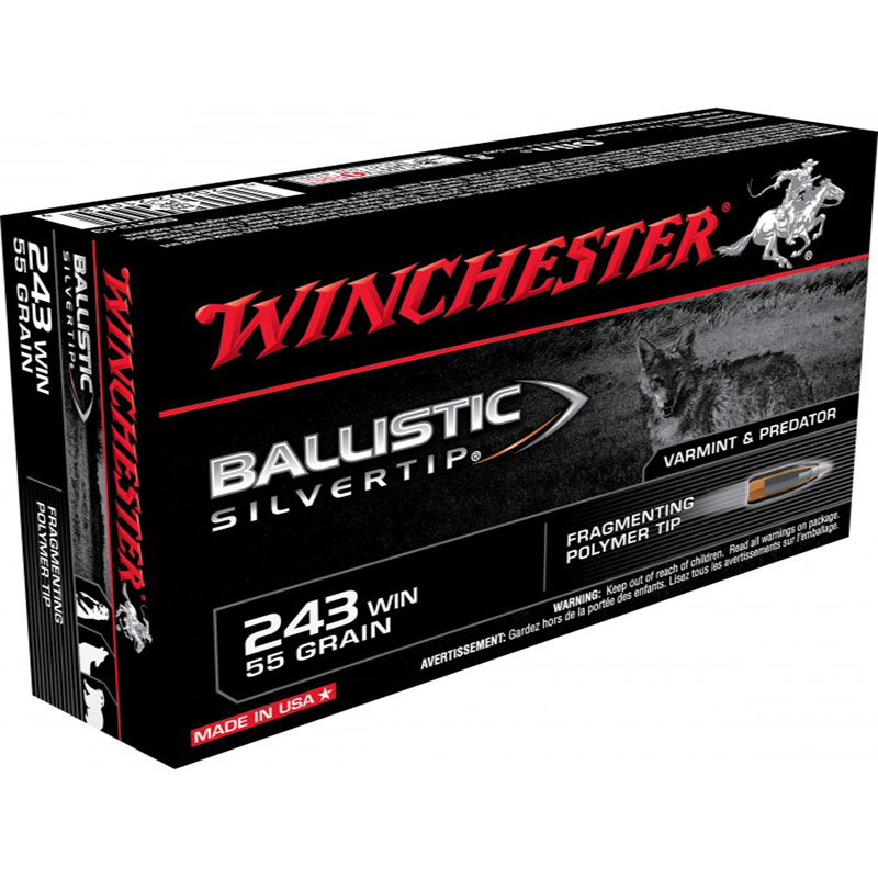 Imagem de Mun. Winchester 243win 55 Gr BS