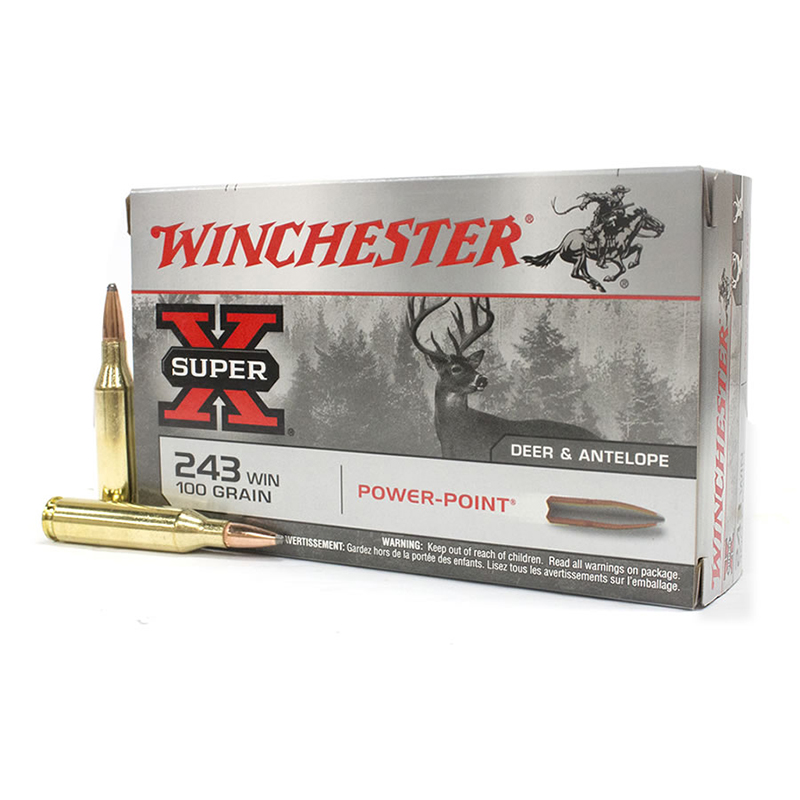 Imagem de Mun. Winchester 243 Win 100 Gr PP