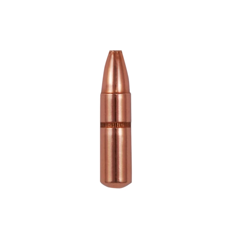 Imagem de Cx 20 Brenneke TOG 16,0g/247gr 9,3x74R