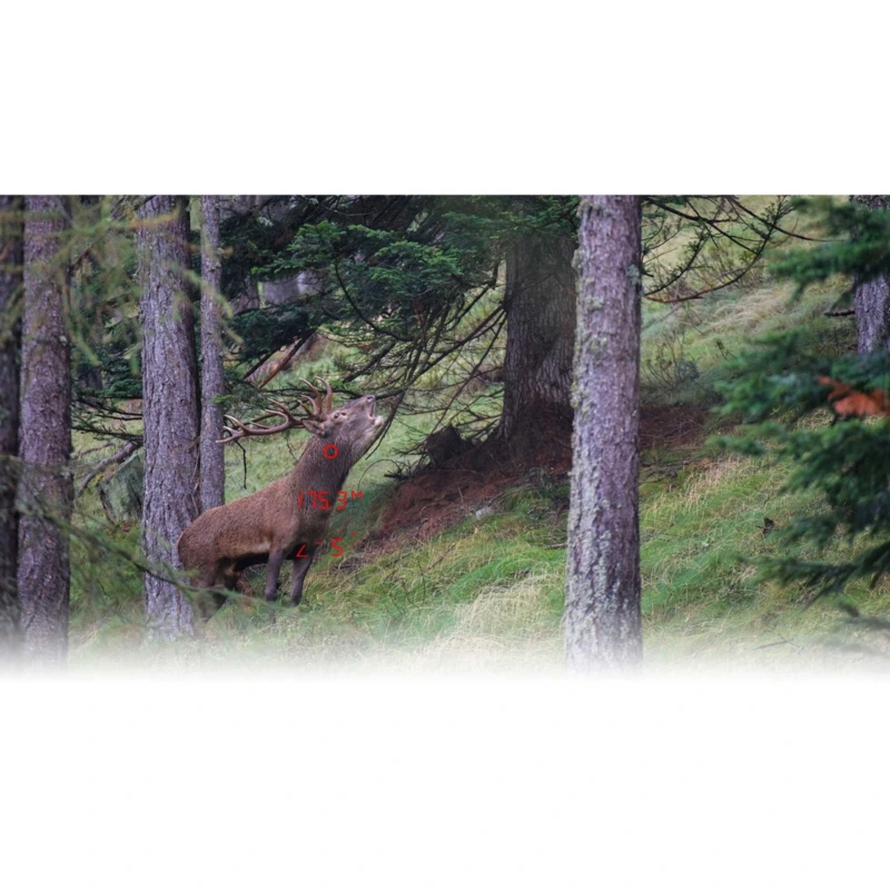Imagem de Bin&oacute;culos GPO RANGEGUIDE 2800 10X32