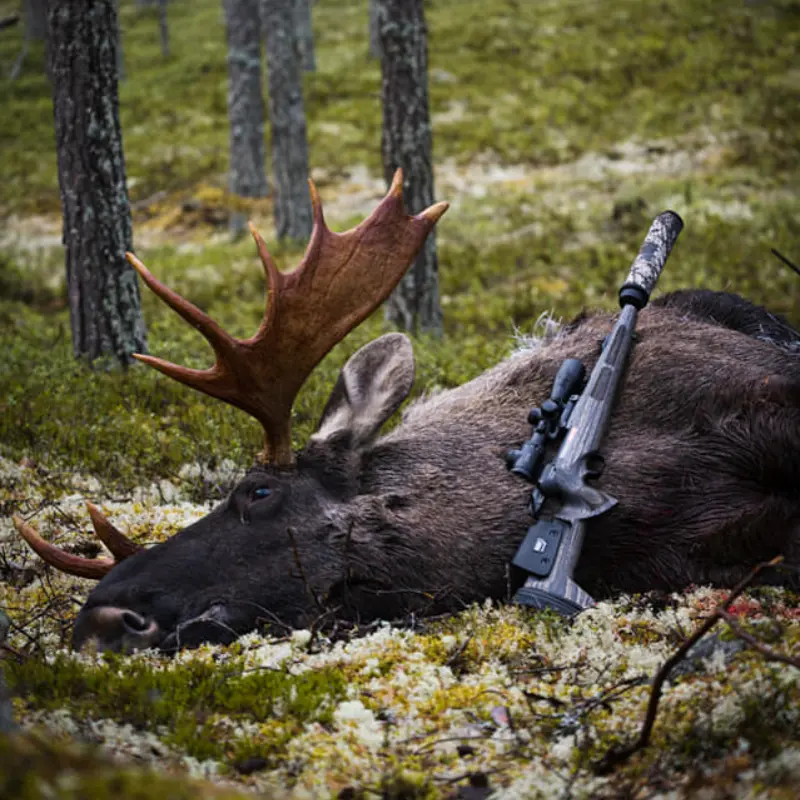 Imagem de Coronha KKC Hunting Schultz & Larsen Classic DL Right