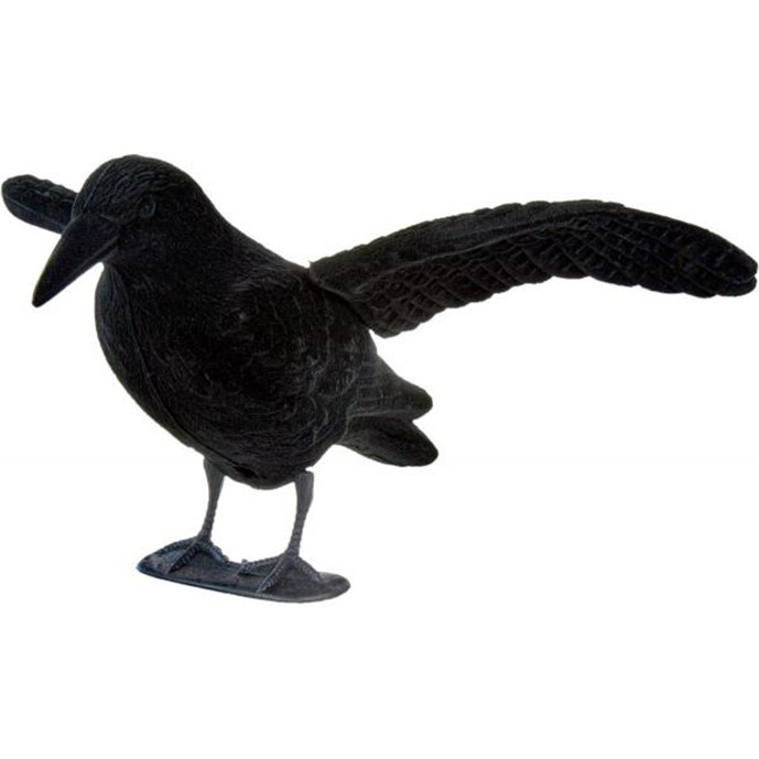 Imagem de Nega&ccedil;a Corvo c/ asas