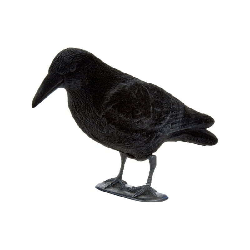 Imagem de Nega&ccedil;a Corvo