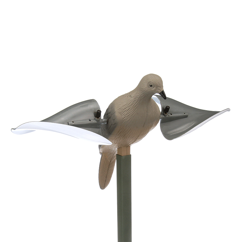 Imagem de Pombo  Asas ao Vento