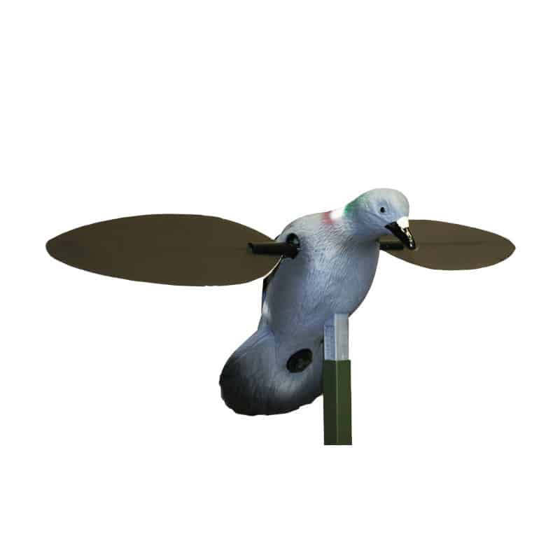 Imagem de Pombo Eletrico