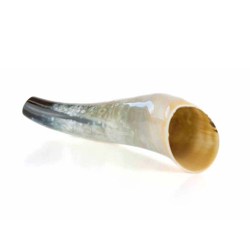 Imagem de Chamariz Corno Veado 40cm