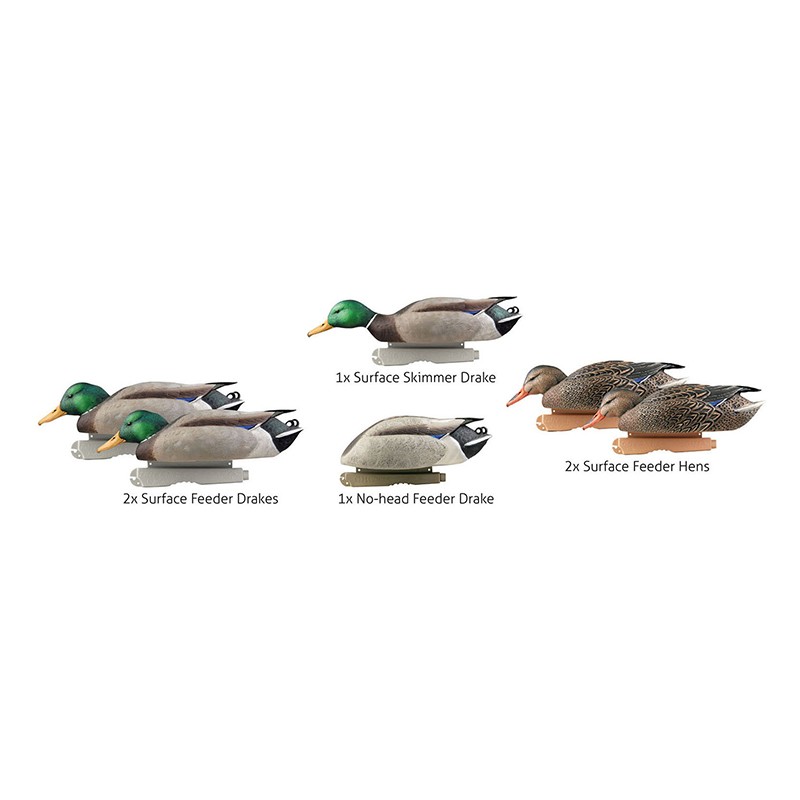 Imagem de Conj Pato Real pack 6