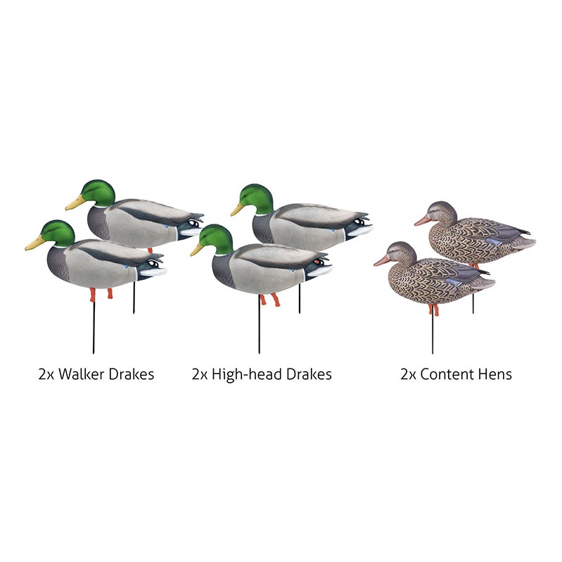 Imagem de Pato Real Pack3