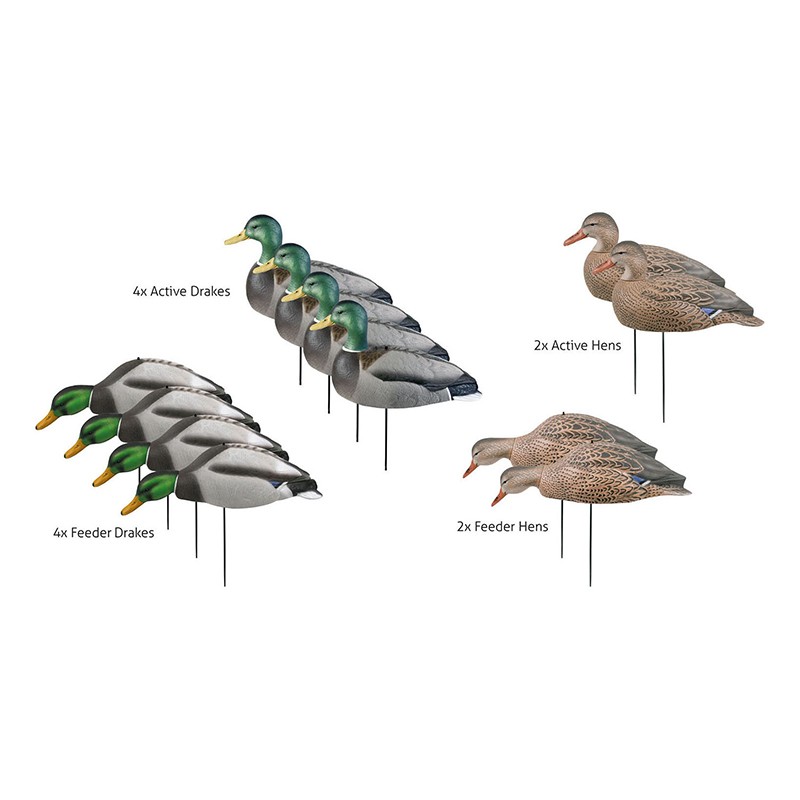 Imagem de Pato Real pack 6