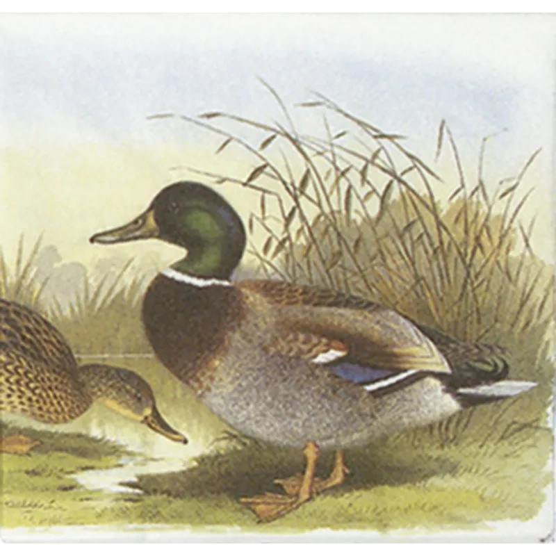 Imagem de Guardanapo Papel Pato
