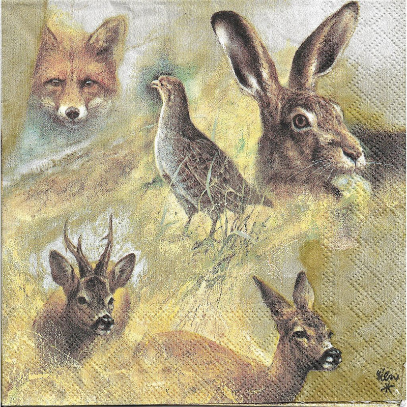 Imagem de Guardanapo Papel Wild Animals