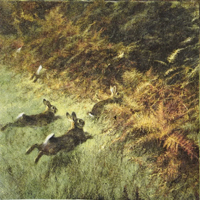 Imagem de Guardanapo Papel Coelhos