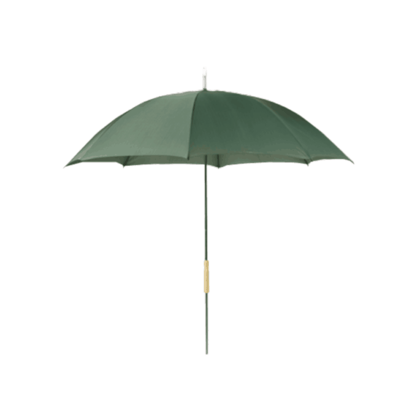Imagem de Chapeus de chuva verde